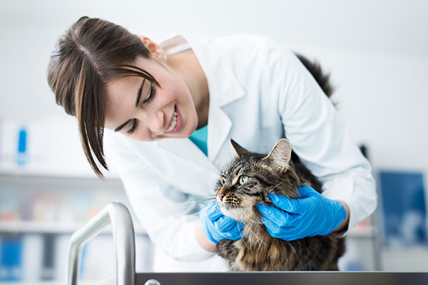 Female Vet with Cat